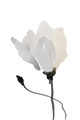 Image Not Available